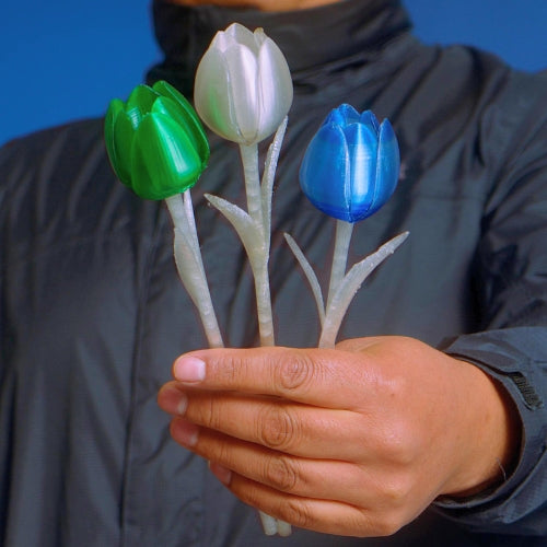 Tulipán Origen — rPET